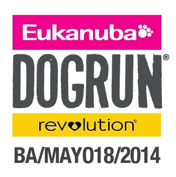 dog-run-buenos-aires-2014