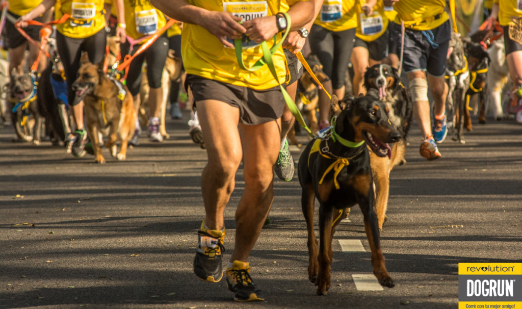 3000-perros-y-corredores-en-la-dog-run